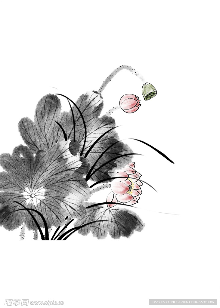 山水荷花