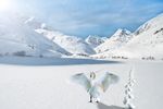 雪山