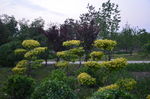 公园美景