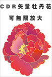 矢量插画牡丹