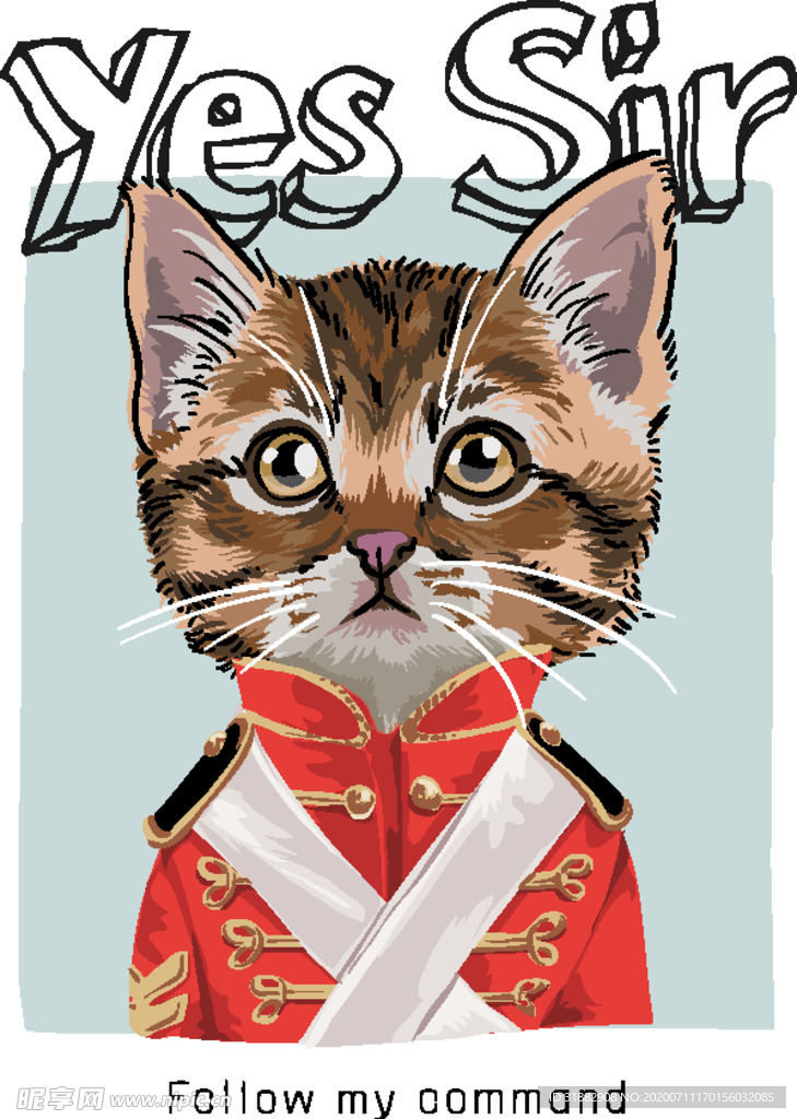 猫
