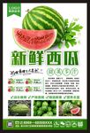 西瓜