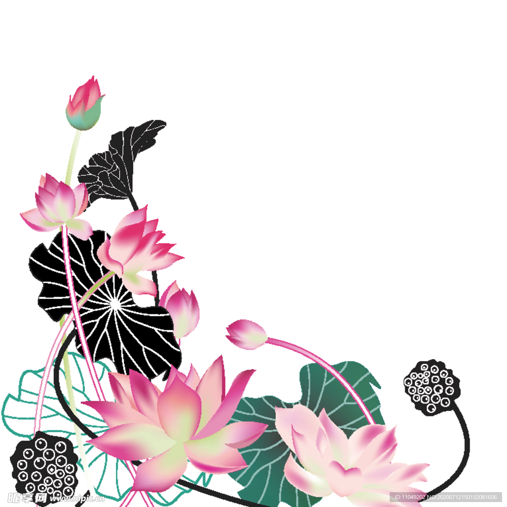 矢量荷花