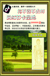 打卡圣地
