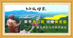 黄金佛影 效果图