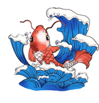 鲤鱼