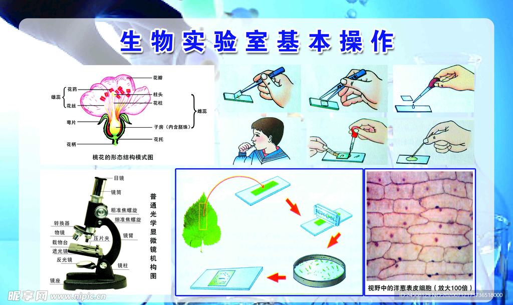 生物实验室