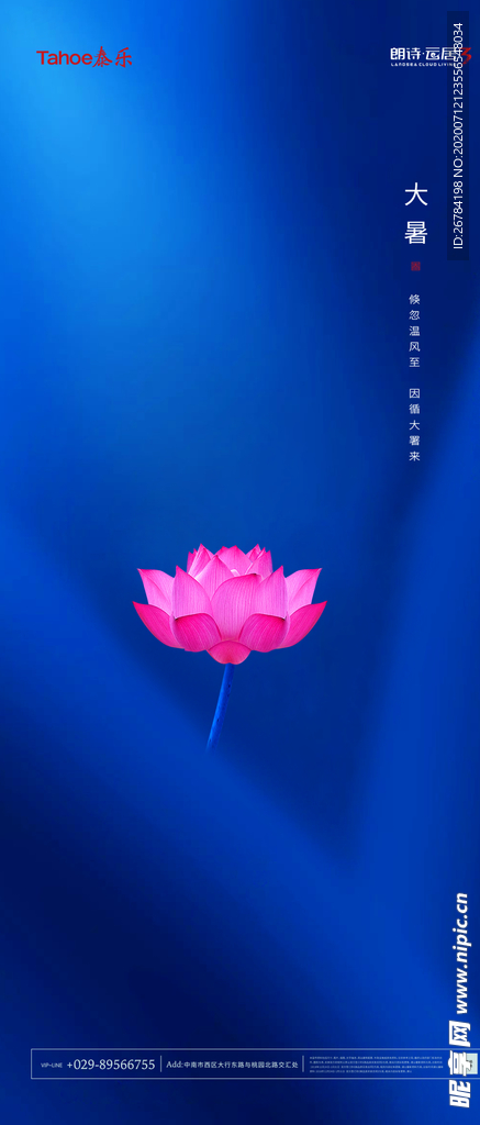 大暑 大暑海报