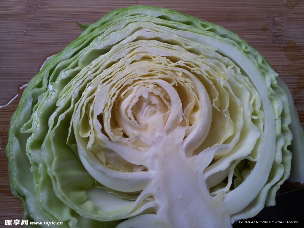 包心菜