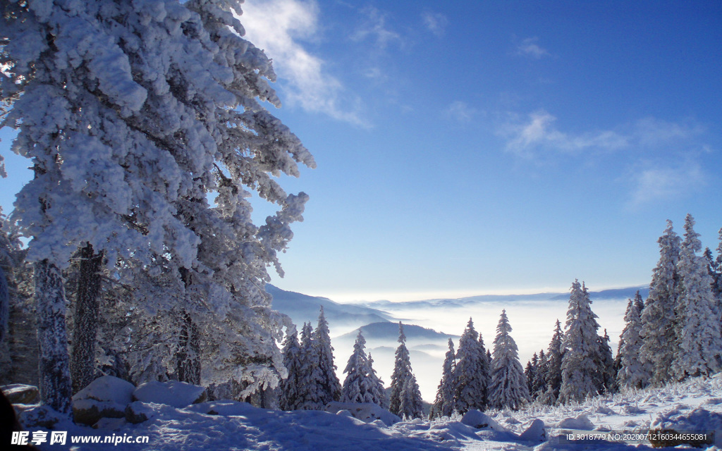 冬天雪景