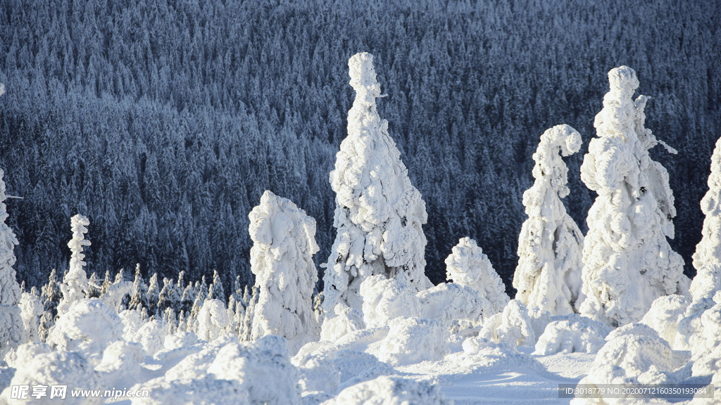 冬天雪景