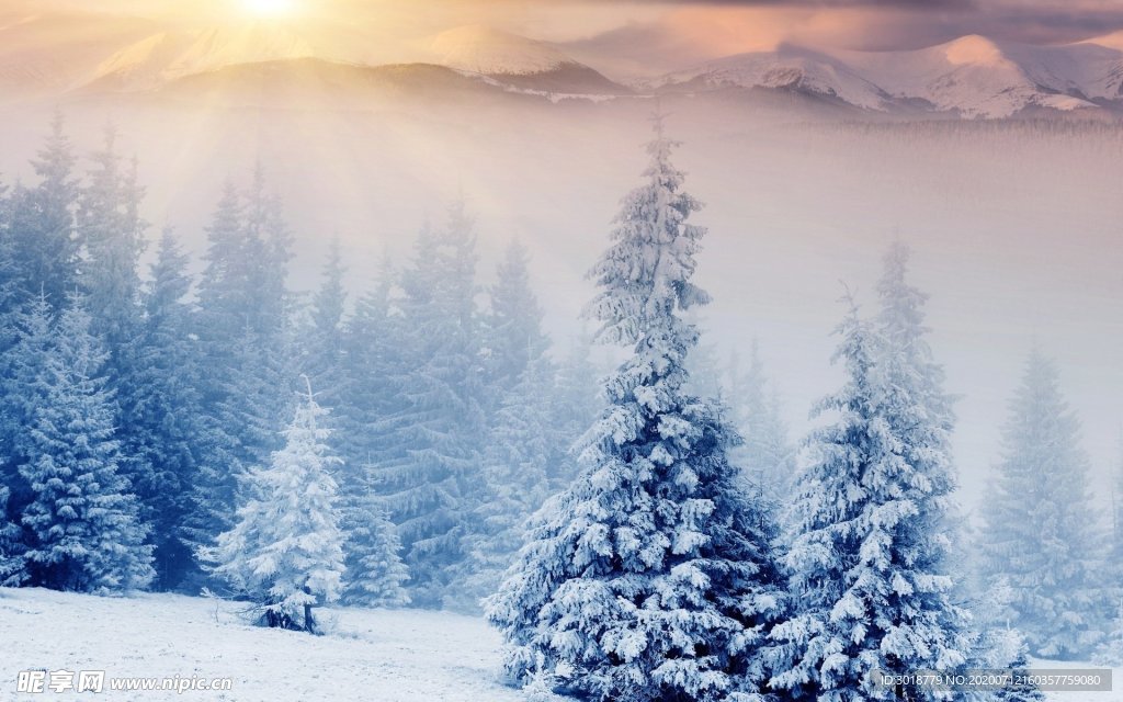 冬天雪景