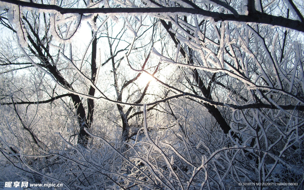 冬天雪景