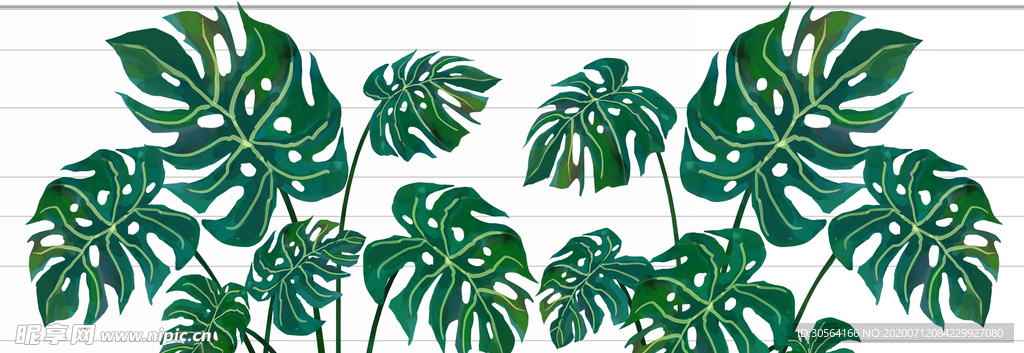芭蕉叶绿植树叶边框底纹背景素材