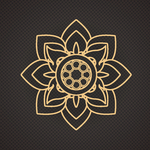 黑金花纹