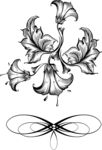 花纹 花边