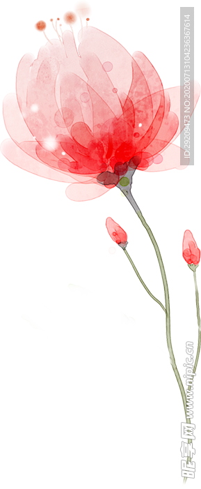 花朵
