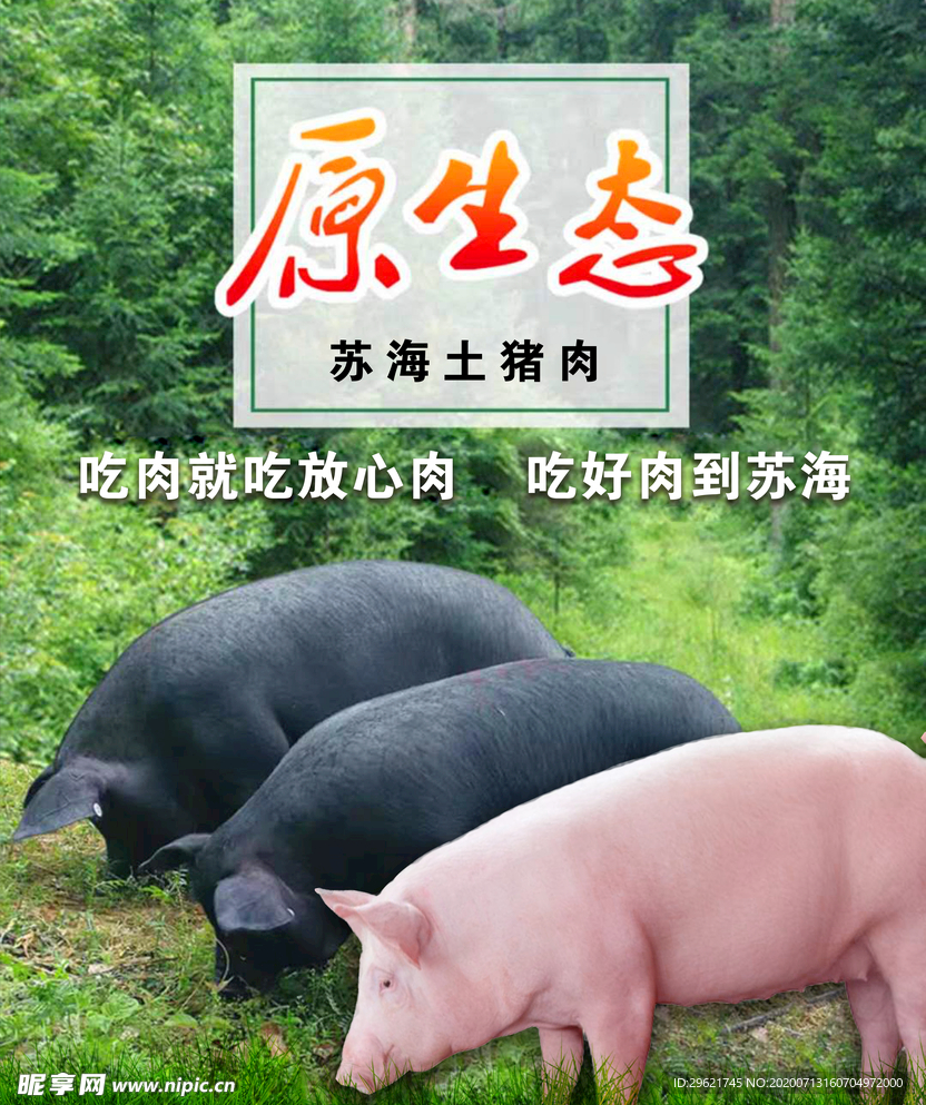 野生猪肉