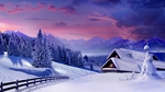 冬季雪景