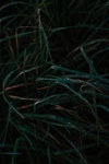 书