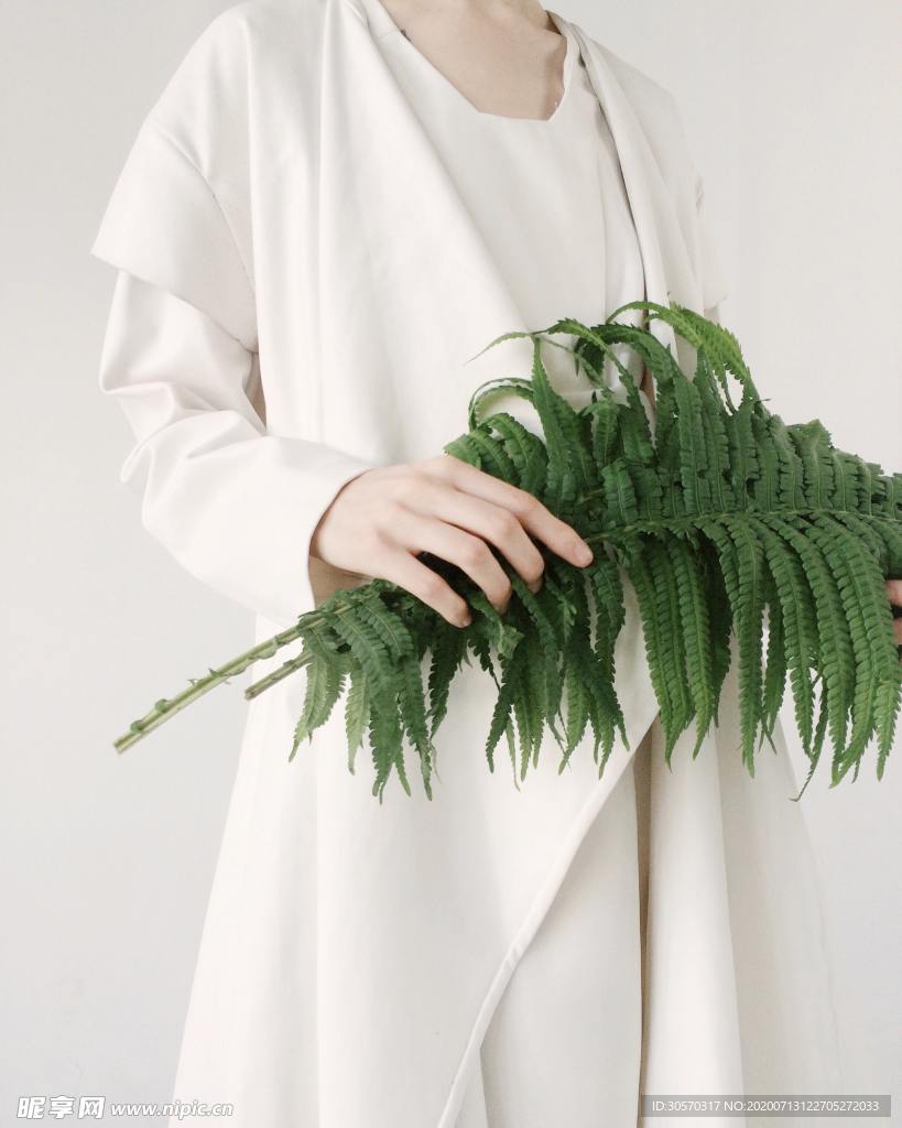 植物
