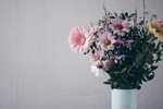 鲜花