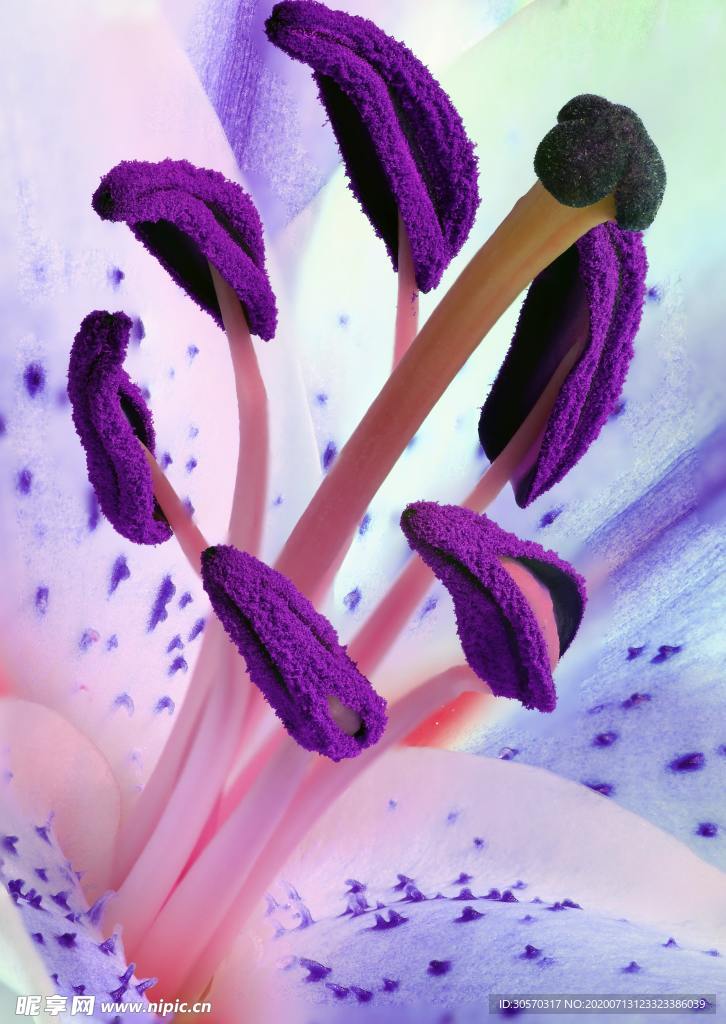 花