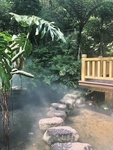 热带丛林