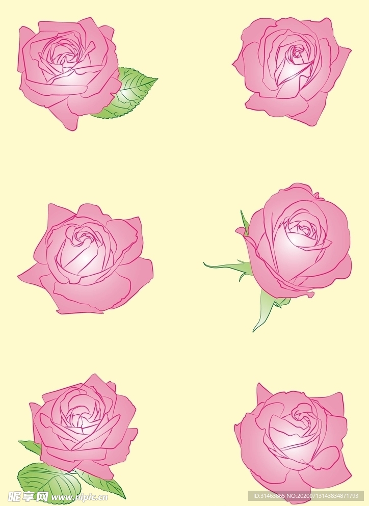 玫瑰花