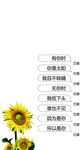 手机壁纸