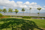 海岸边
