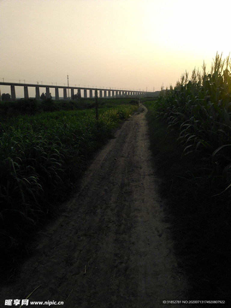 路