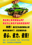 车辆保险彩页