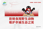 专项整治 绿色环保 健康生活