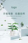 北欧风绿植