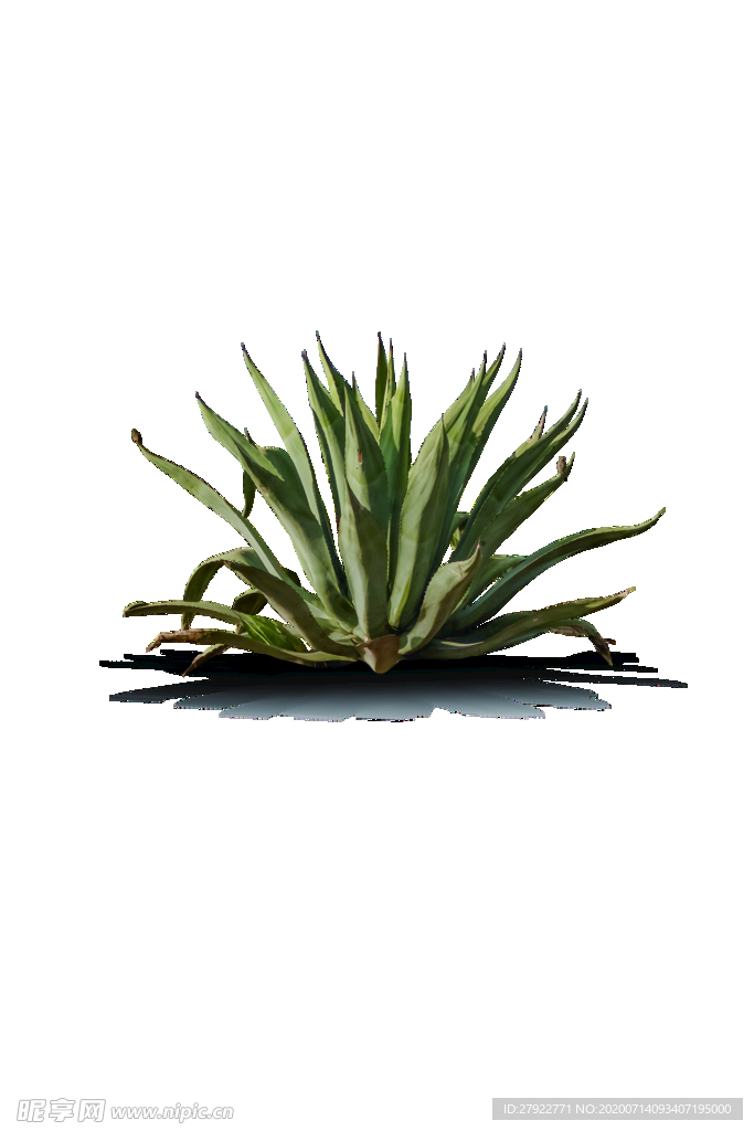 芒刺