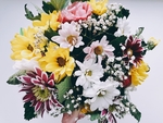 鲜花