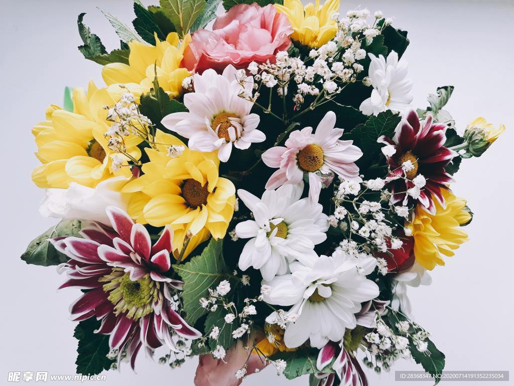 鲜花