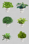 绿植盆栽