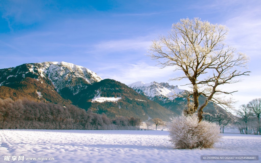 晴朗雪景