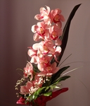鲜花