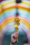 鲜花