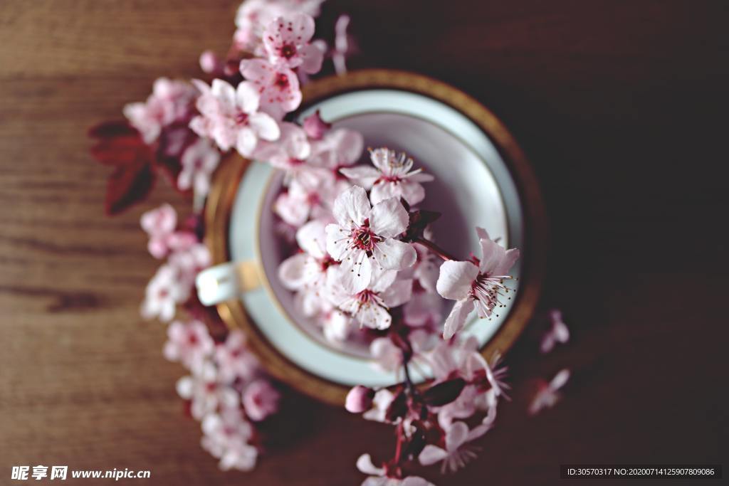 鲜花