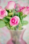 鲜花
