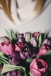 鲜花