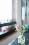 鲜花