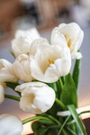 鲜花