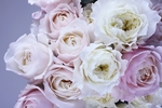 鲜花