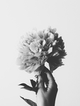 鲜花