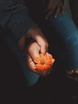 鲜花